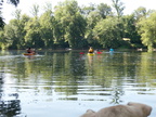 IMG 4233